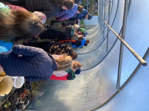 Visit to Bridget’s Garden